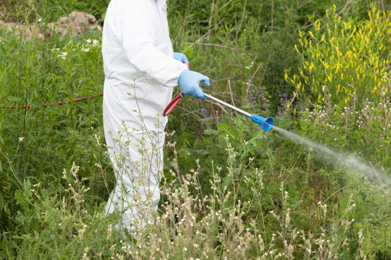 Effective Weed Control Strategies — Cost of Weed Control
