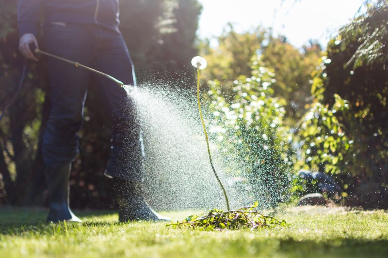 Effective Weed Control Strategies — Cost of Weed Control