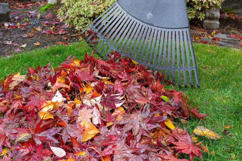 Raking and Debris Collection