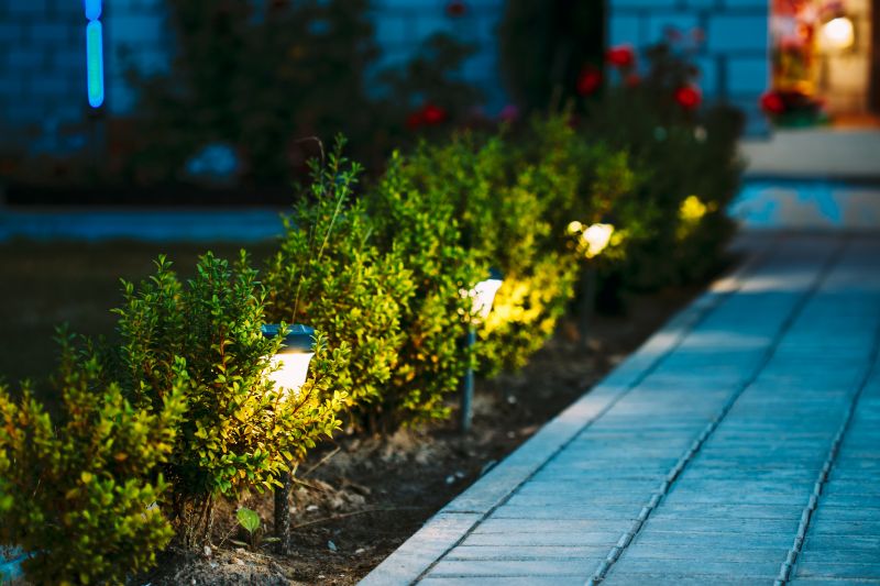 Garden Lighting Installation in Denver County, CO