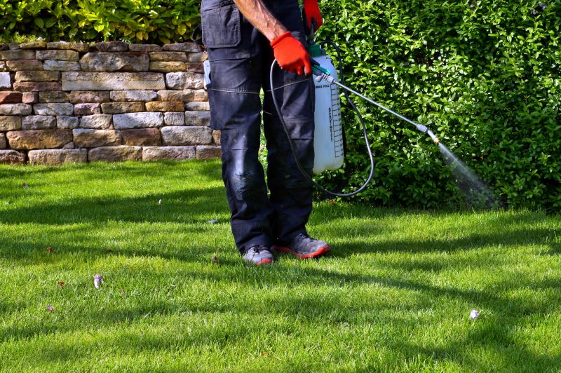 Lawn Weed Treatment in Rockwall, TX